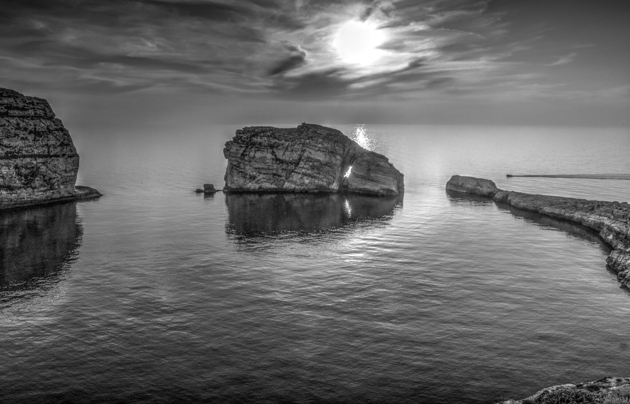 black and white photo of Fungusrock